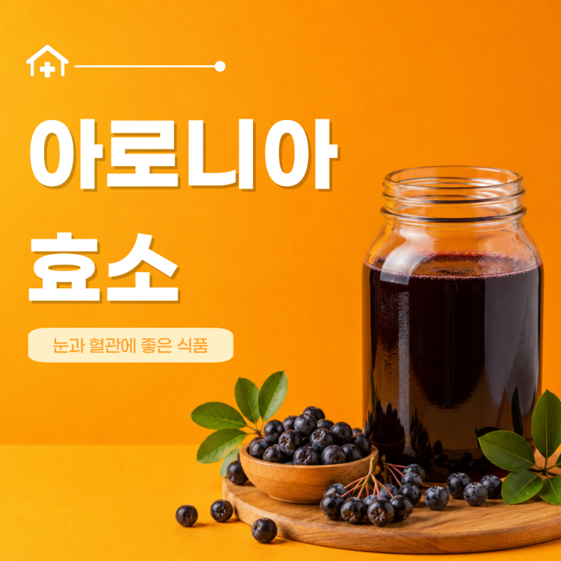 혈관 눈에 좋은 아로니아 효소 효능 먹는 섭취 방법 활용 담그는 법 부작용