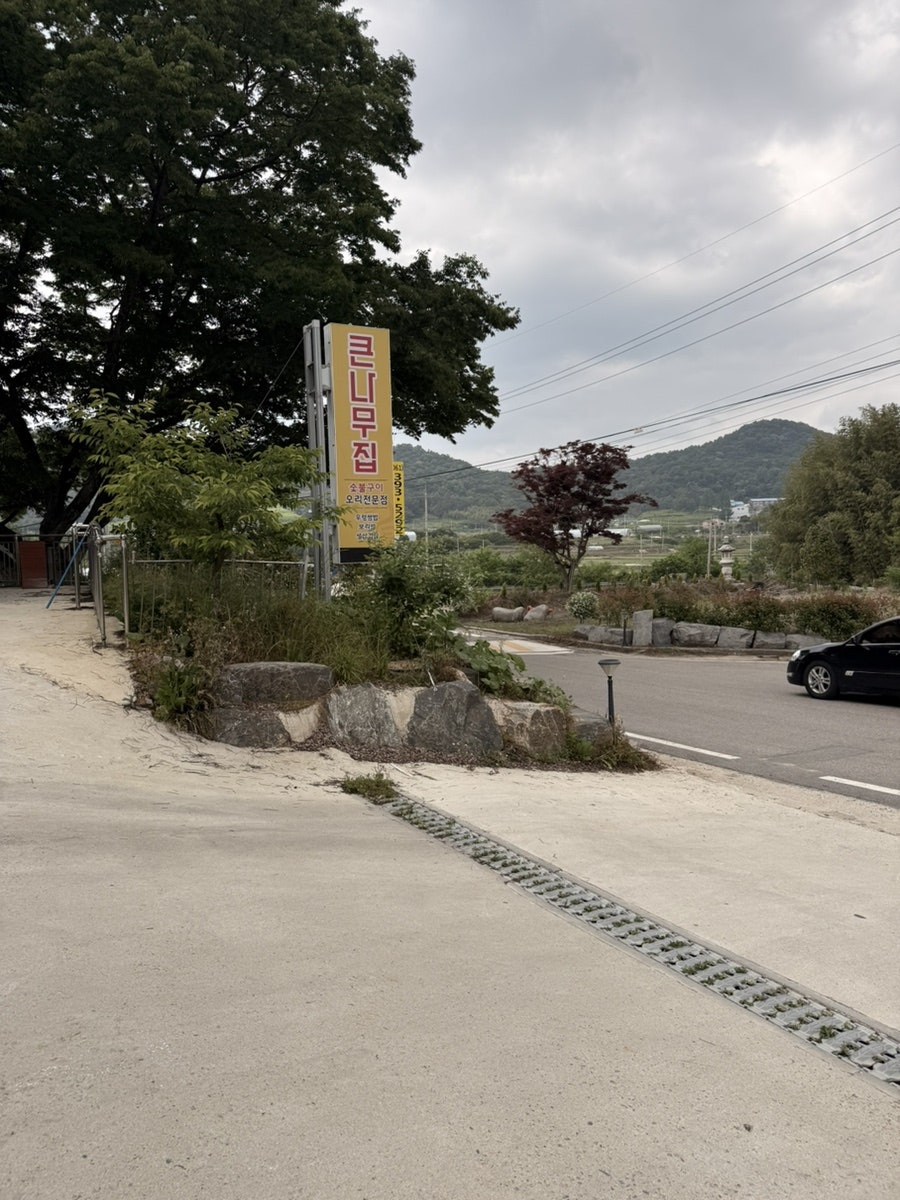 큰나무집 사진 2