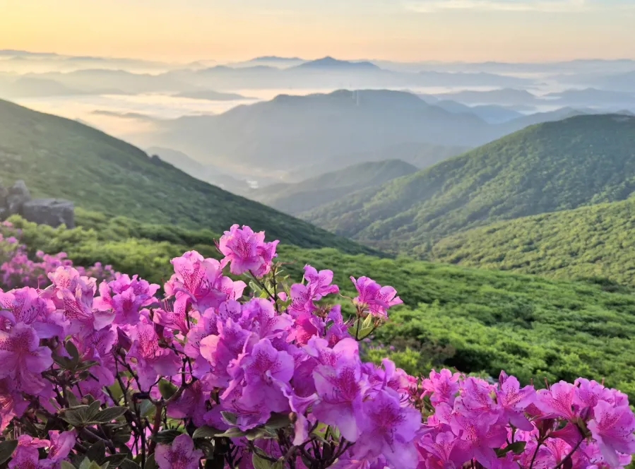 문안산 사진 2