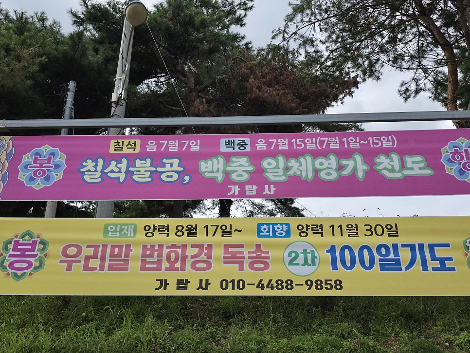 청마산 사진 3