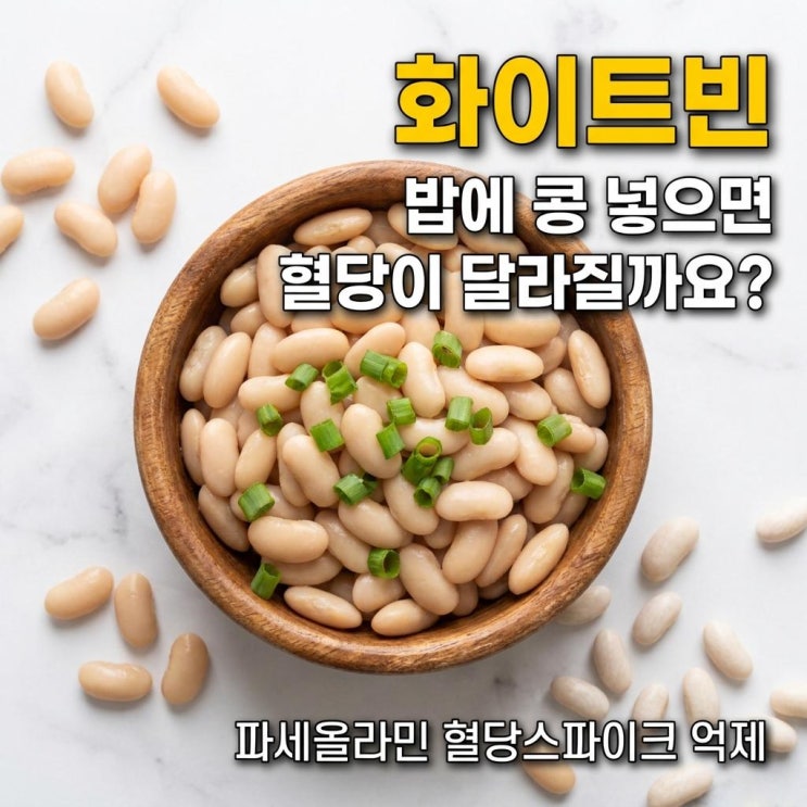  화이트빈 밥에 넣으면 혈당 달라지는 이유 