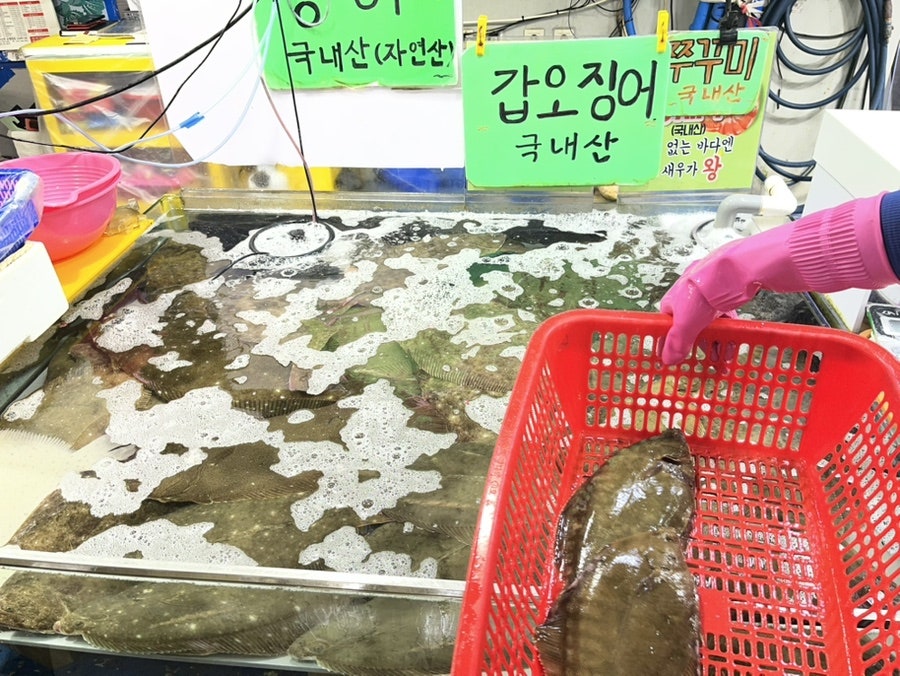 진주네 사진 3