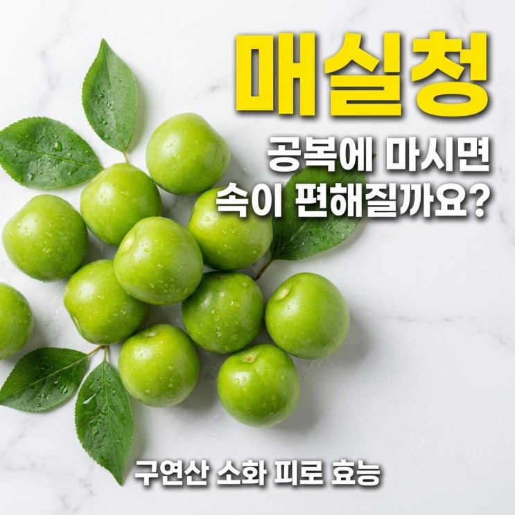  매실청 공복에 마시면 속 편해지는 이유 