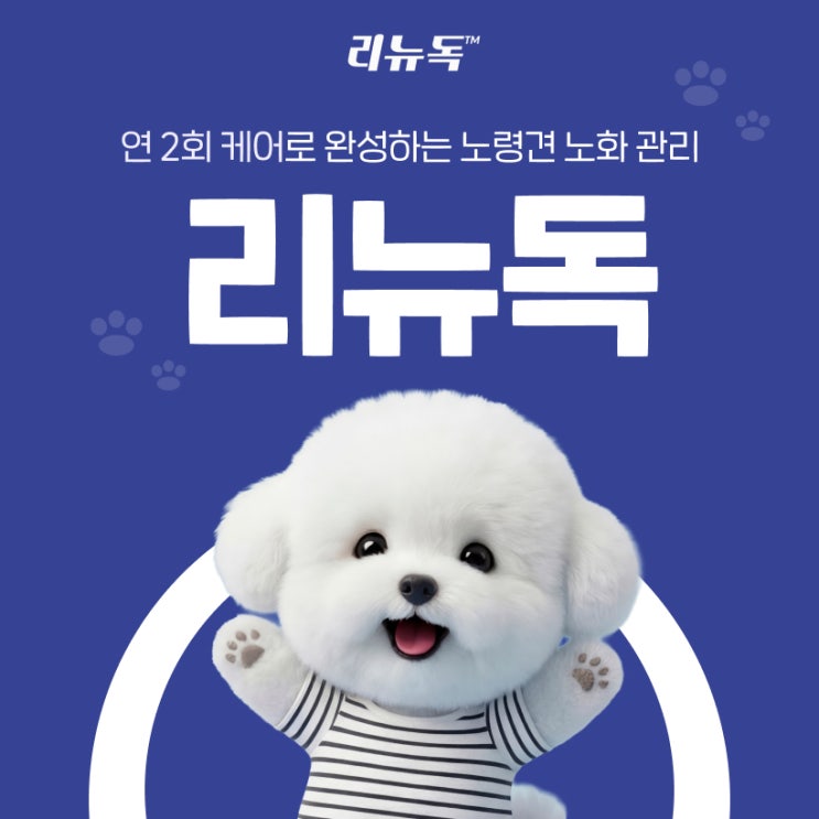  매년 챙기는 노령견 노화 관리, 충분할까? (feat. 리뉴독)
