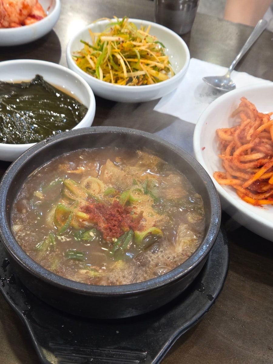 솔밭 사진 2