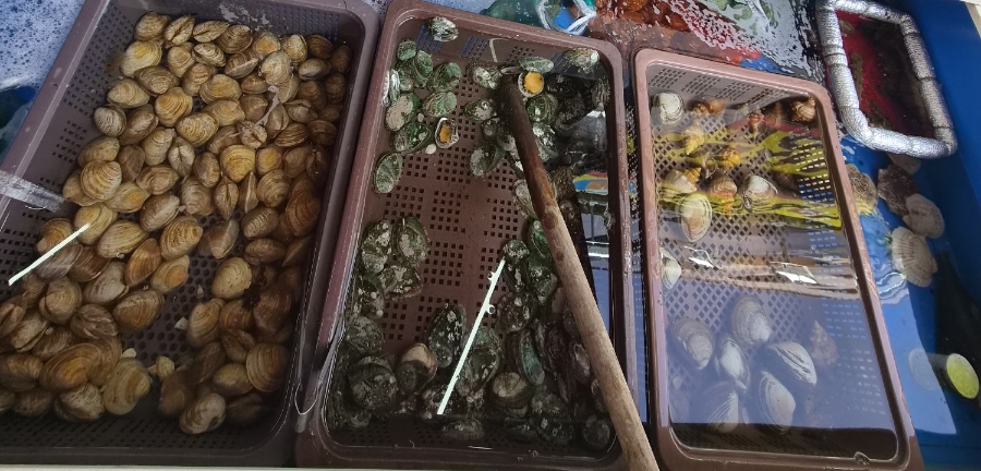 육해공 사진 3