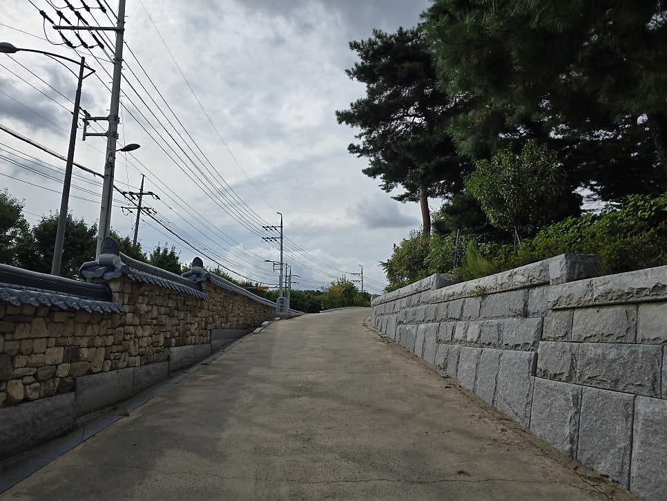 청마산 사진 4
