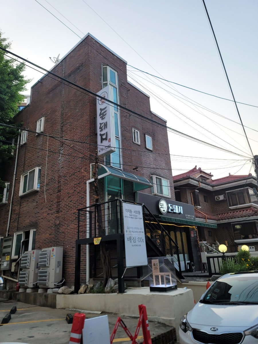 돈돼지 사진 1