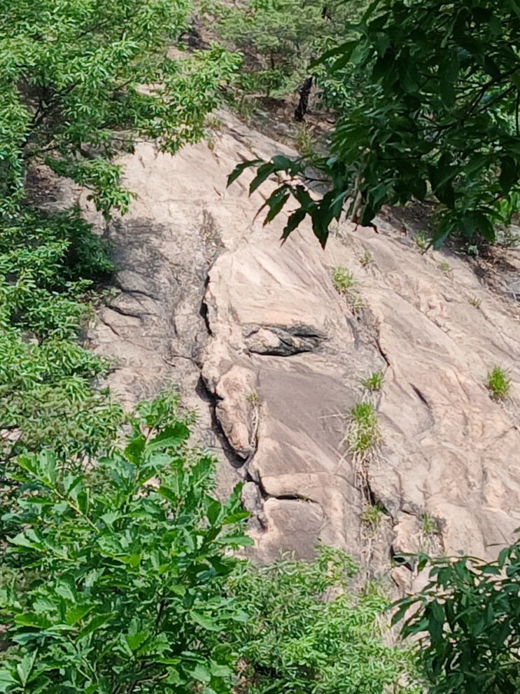  아차산 산책 나의 코스 (Achasan Mountain Walk: My Course)
