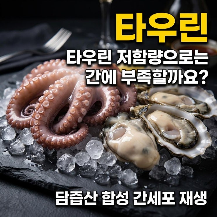  타우린 간 건강 고함량으로 먹어야 하는 이유