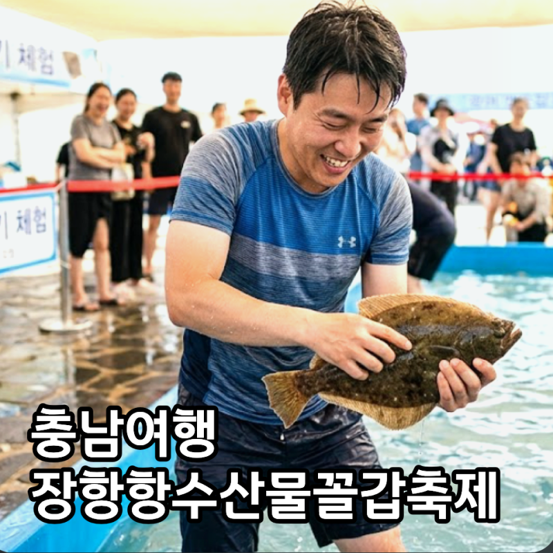 2026 장항항 수산물 꼴갑축제 일정 라인업 한눈에 정리