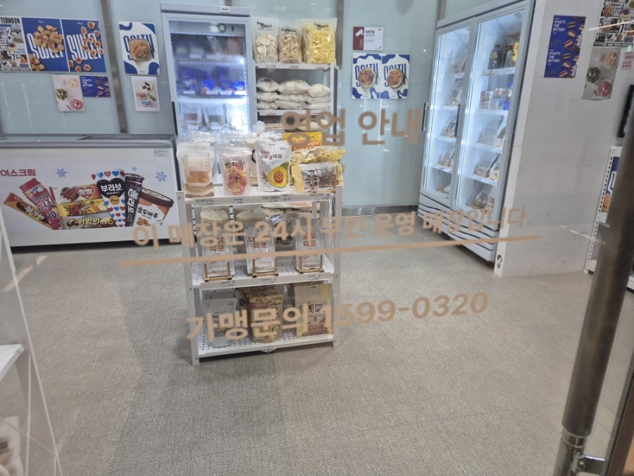 파인트리 사진 3