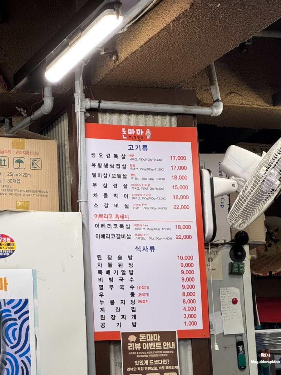 돈마마 사진 3