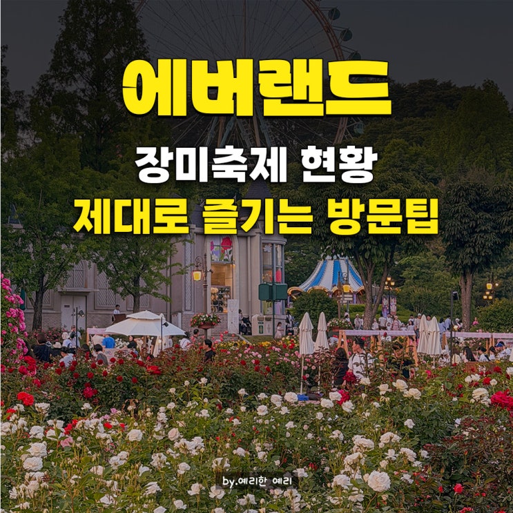  에버랜드 장미축제 실시간 만개 기간! 재즈 공연관람 꿀팁 (feat. 에버랜드자유이용권 할인)