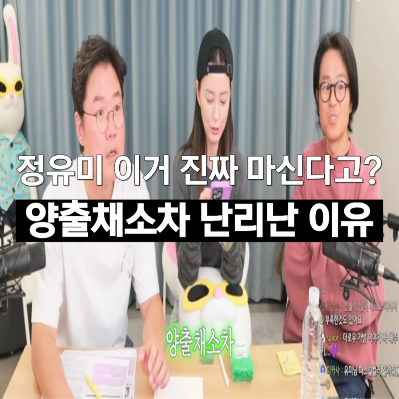 십오야 라이브 정유미 차 저거 진짜 먹는다고? 양출채소차 효과 뭐길래