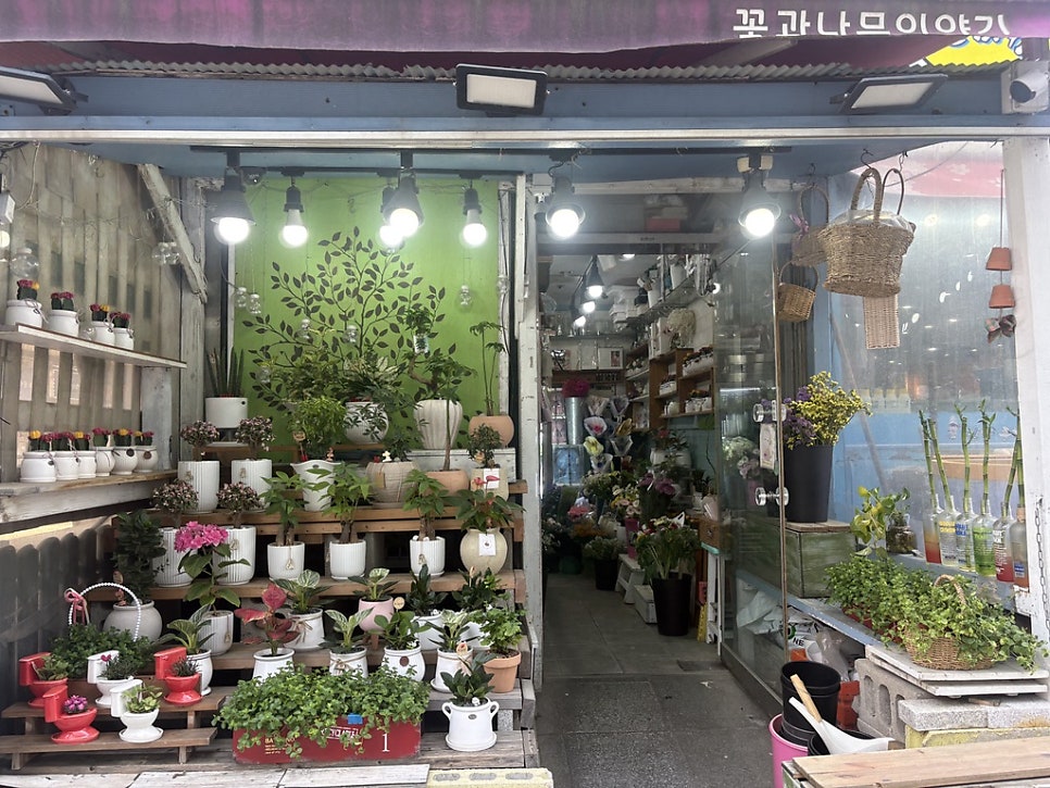 Jujaegeunbeikeori Haanjeom photo 2