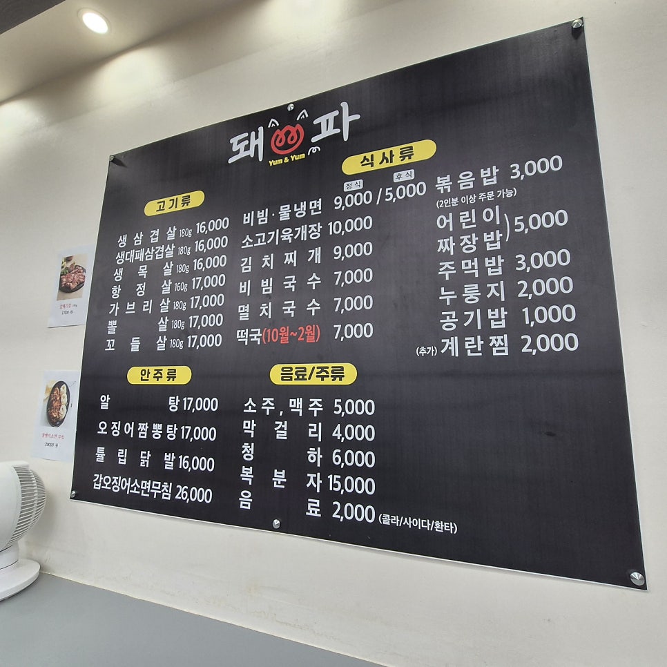 돼파 사진 6