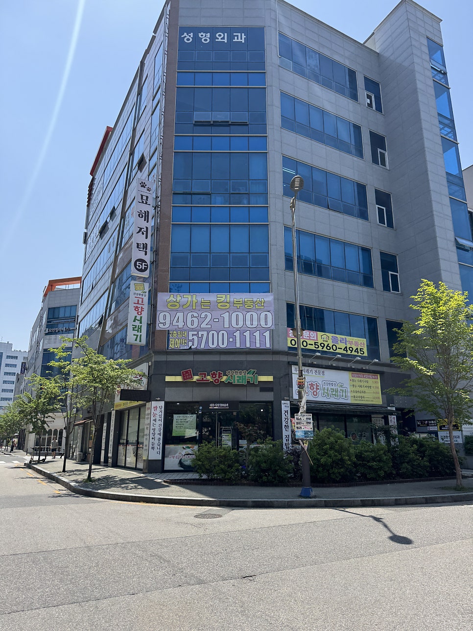 고향시래기 사진 1