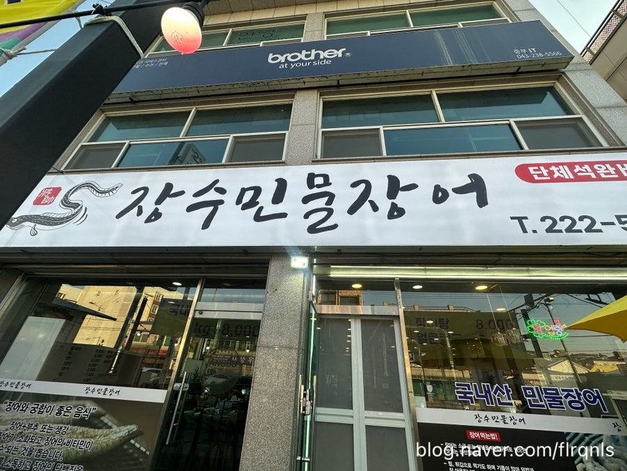 장수민물장어 사진 2