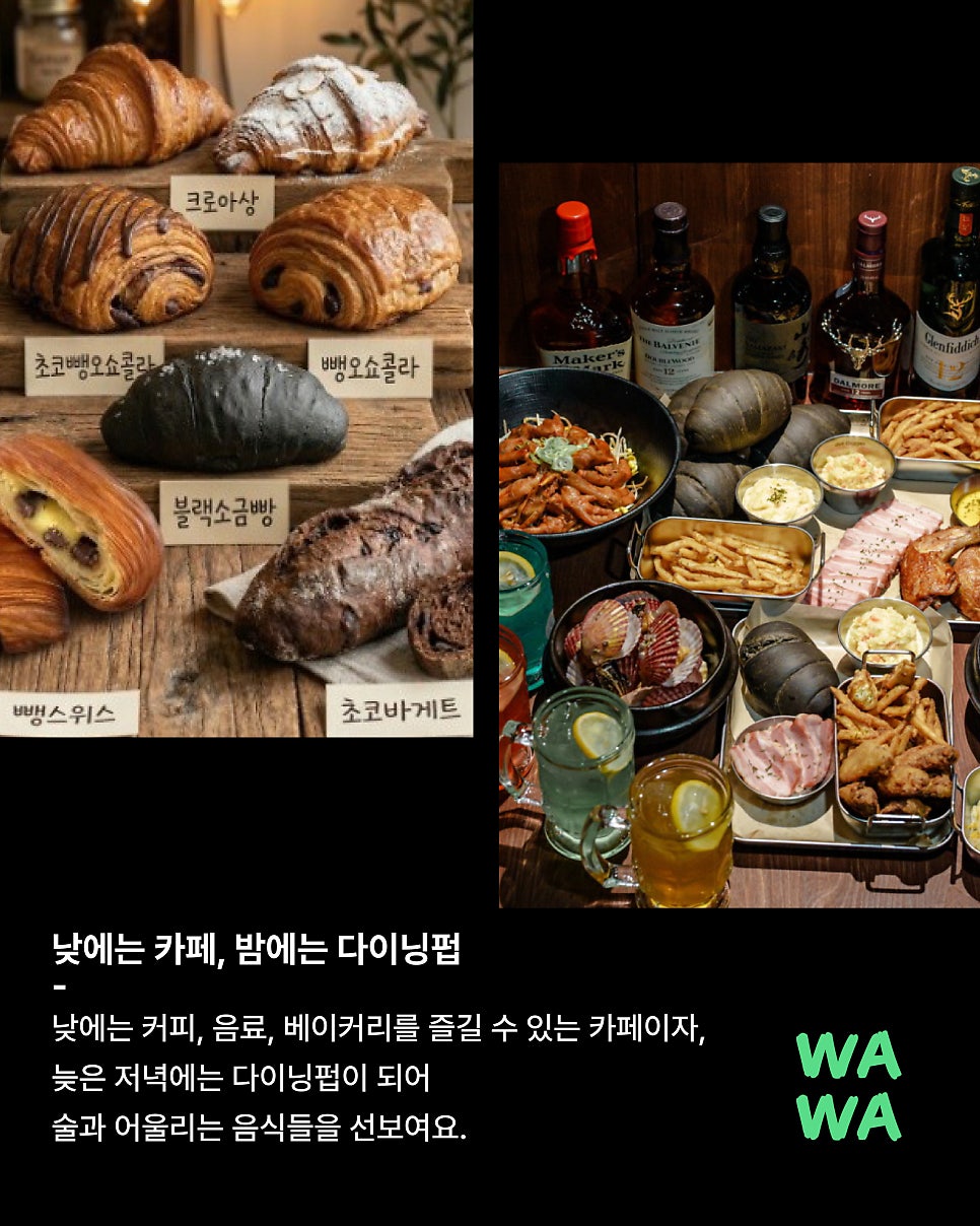 닷디거 사진 3