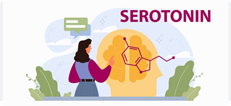 세로토닌 뜻 증후군 부족 증상 알아보기