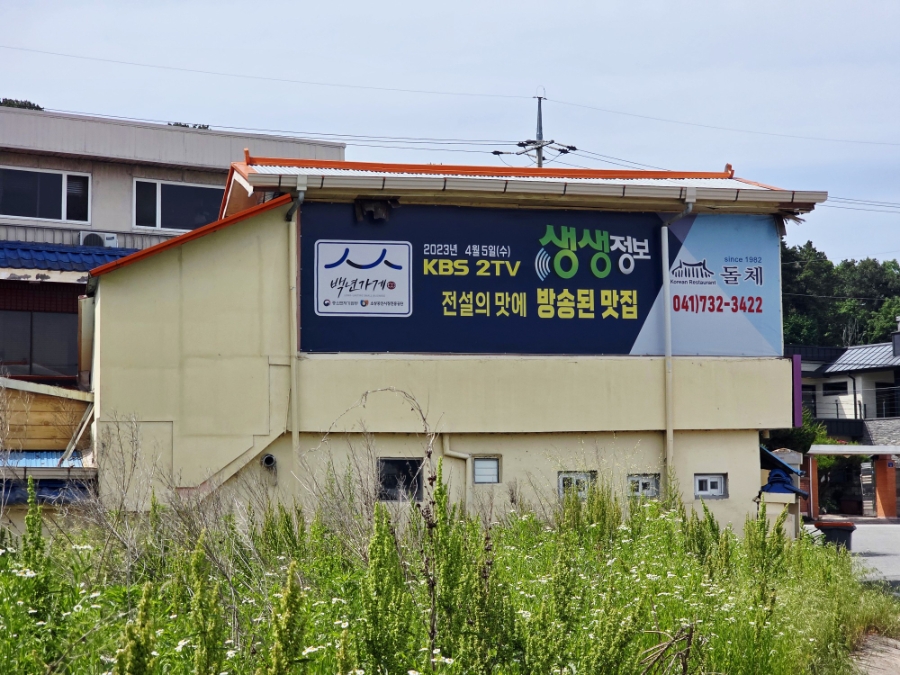 돌체 사진 6
