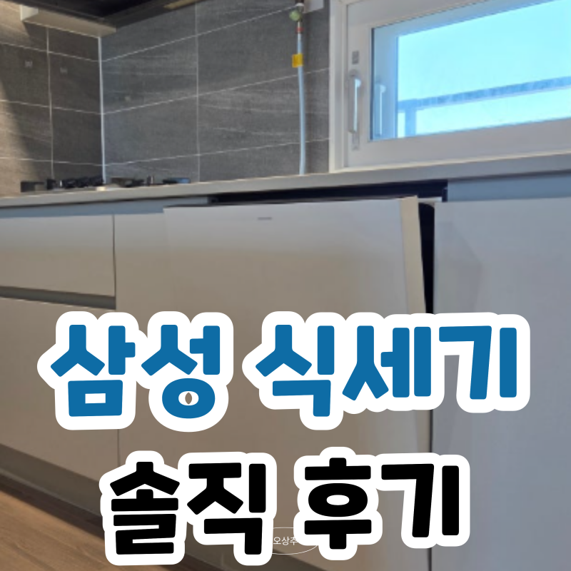 삼성 식기세척기 14인용 DW80F75L1U01 추천 비스포크 히든 청소 사용법 솔직 분석