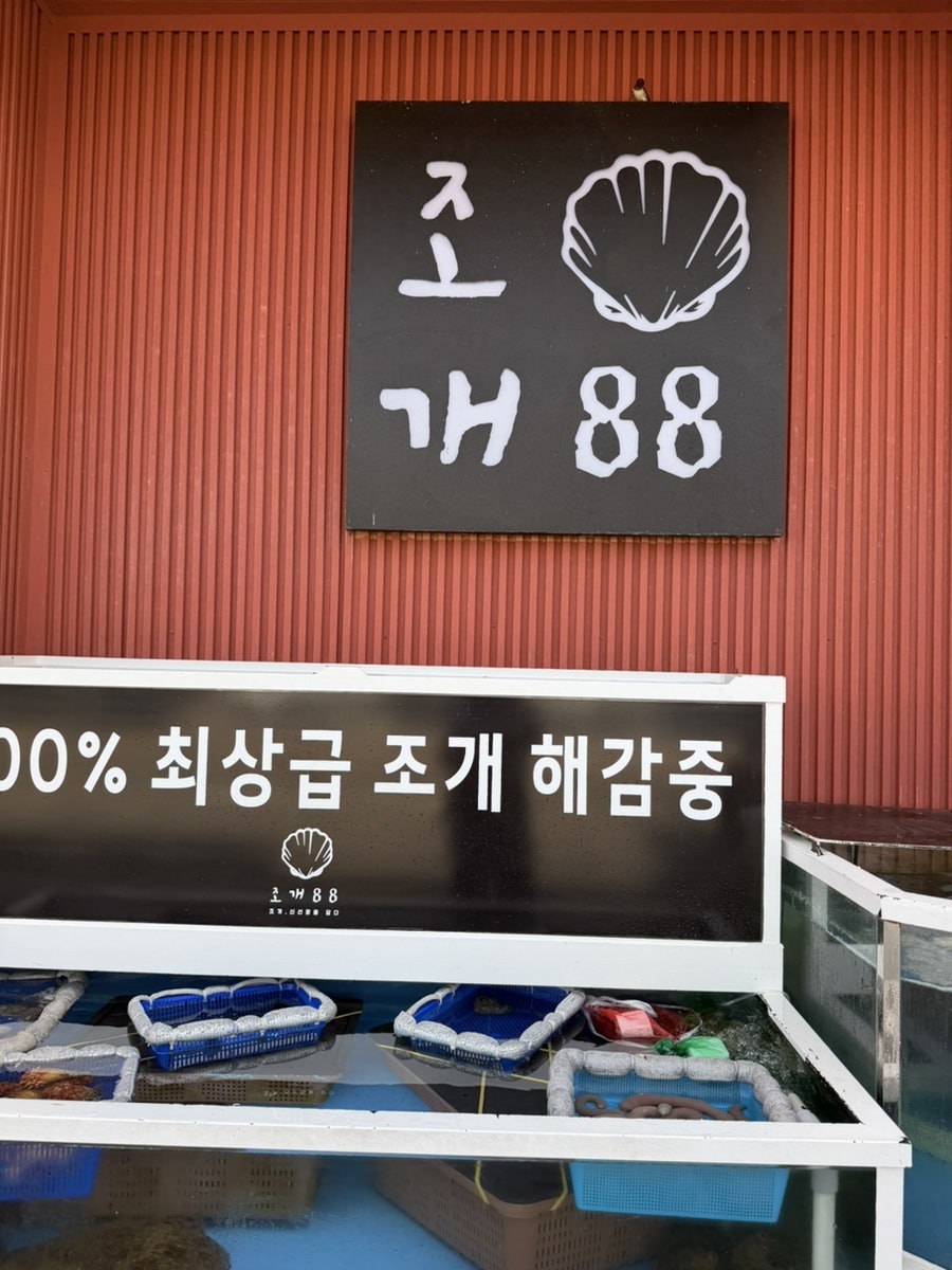 조개88 사진 3
