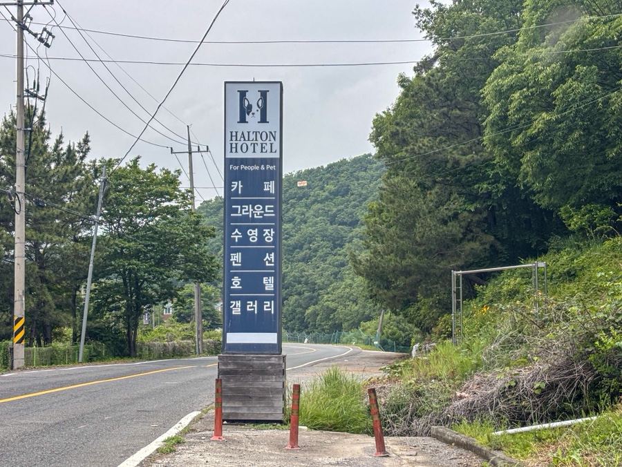 할튼호텔 사진 2