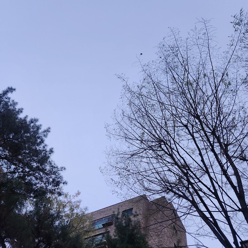 천일문 사진 4