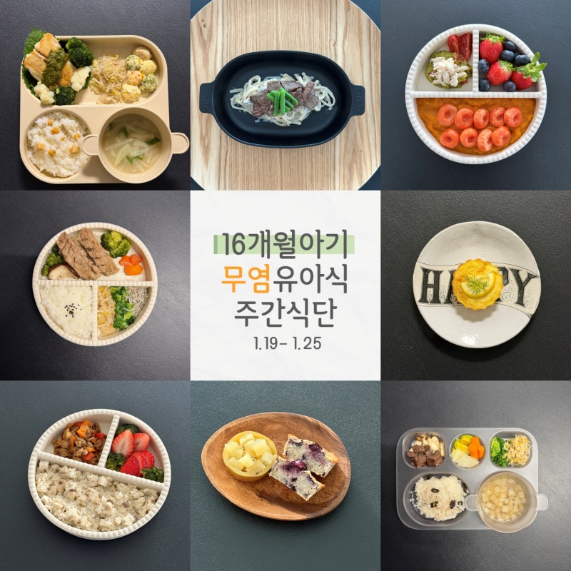 [무염유아식 식단] 16개월 아기 한 주 식단 ｜무염유아식 주간식단(16-1)