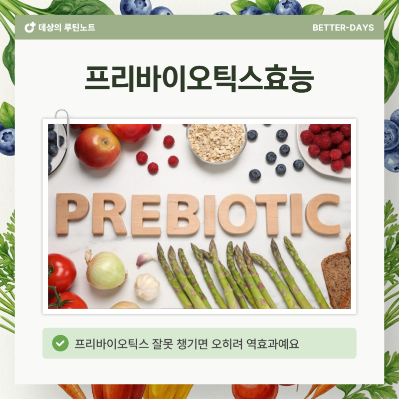 꾸준히 프리바이오틱스효능 챙겼더니 체감되는 몸 변화 5가지(+복용법)