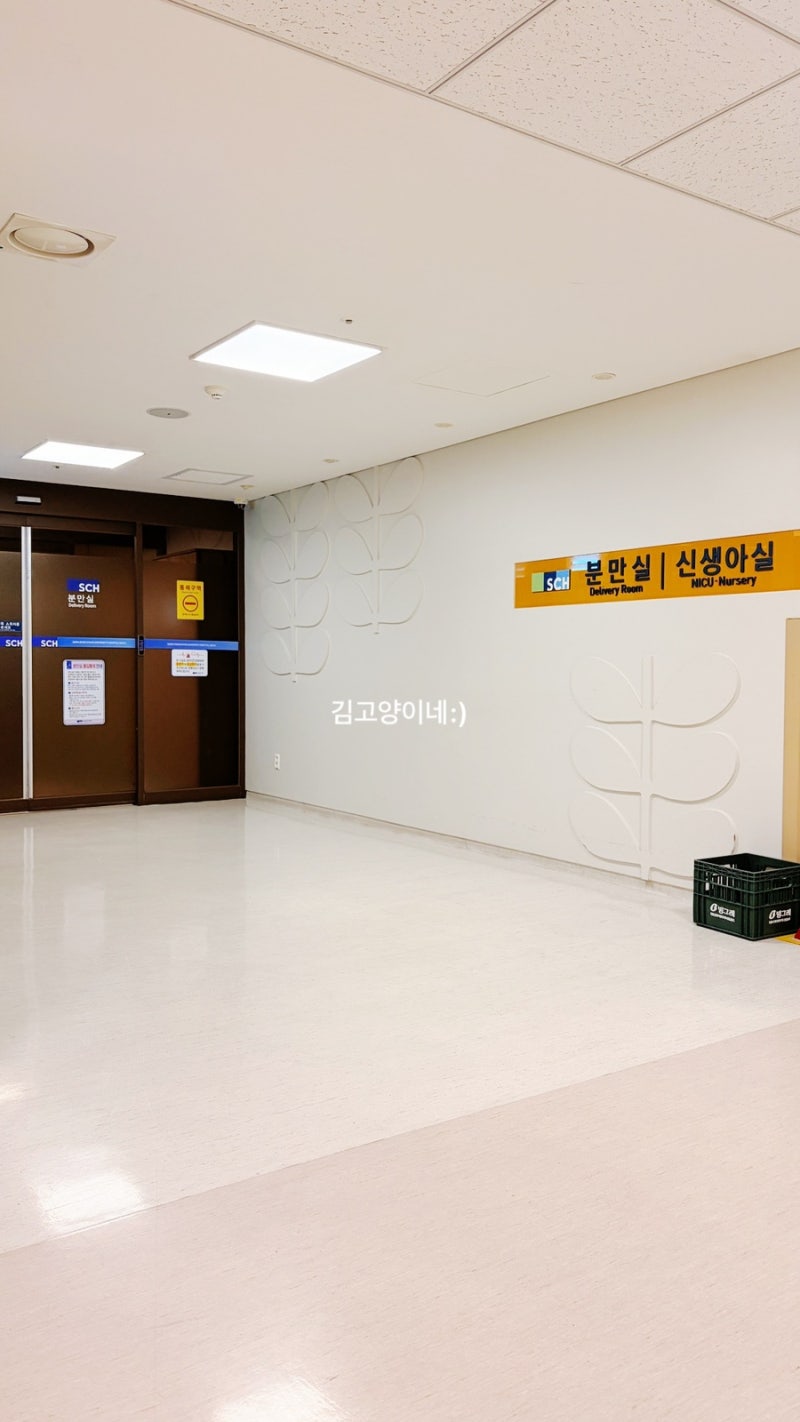 [260427-260507] 순천향대학서울병원 유도분만 및 제왕절개 후기/초산모 유도분만 4일 시도 후 실....