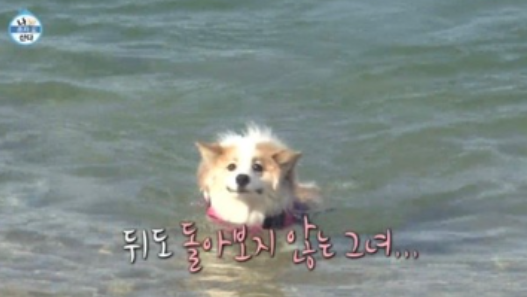 면천어죽 사진 3