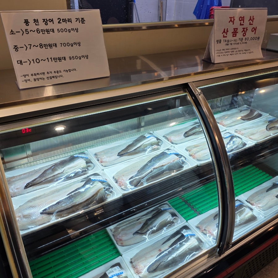 장어나들이 사진 3