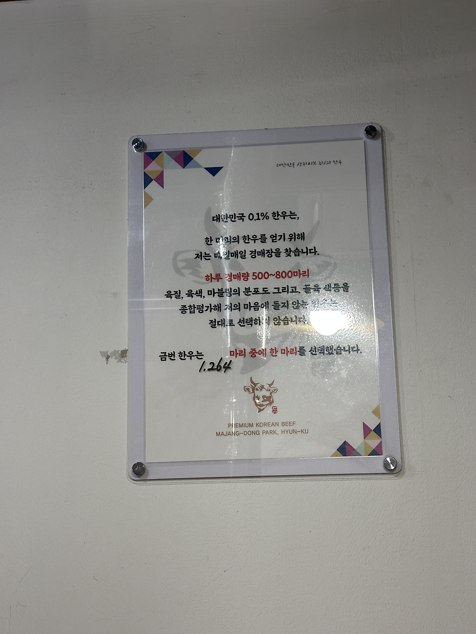 마장동박현규 사진 3