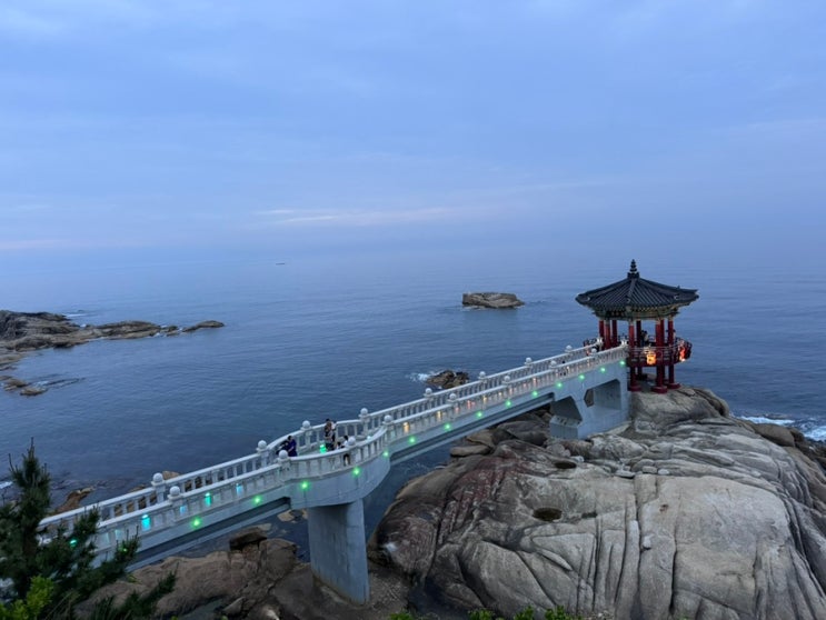  뚜벅이의 속초여행 : 청초호수공원 속초해변 영금정일몰 반나절코스