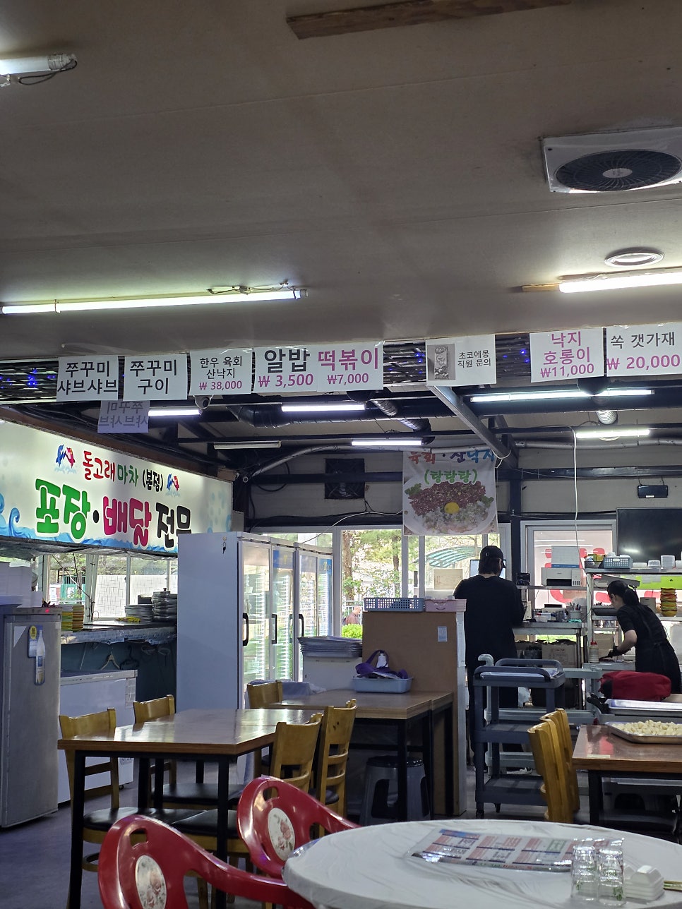 돌고래마차 사진 6
