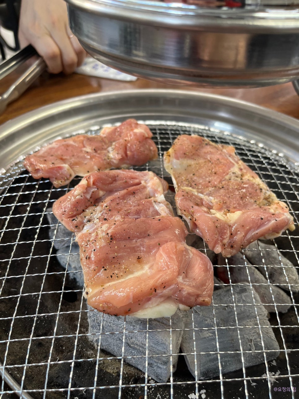 마르 사진 6