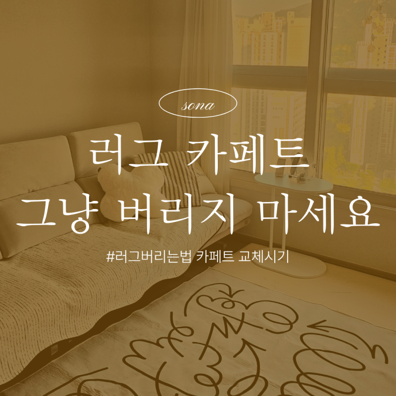 대형 러그 버리는 법 카페트 버리기 및 교체 시기 총정리