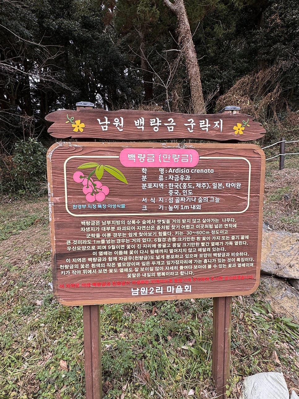 운지악 사진 4