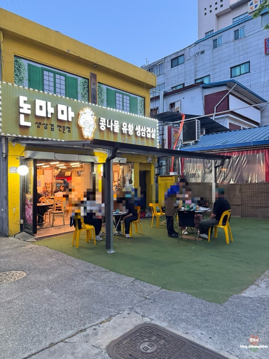 돈마마 사진 1