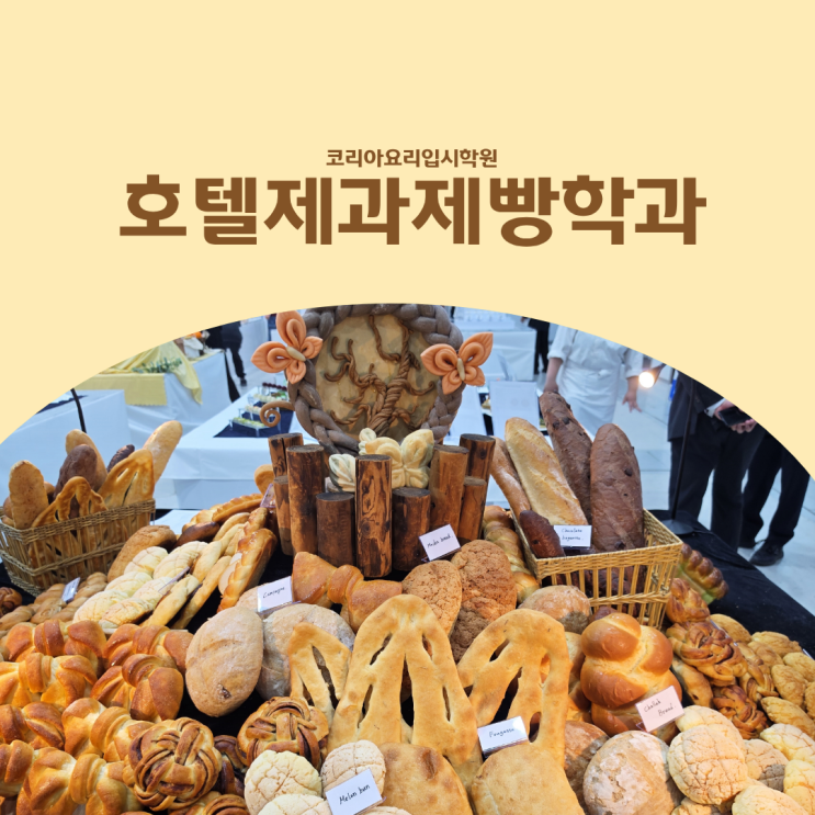  호텔제과제빵학과 :: 진로 5가지와 입시 준비 3단계 정리