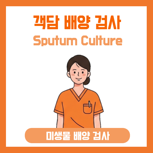 가래 속 범인 찾기: 객담 검사(Culture, AFB, PCR)
