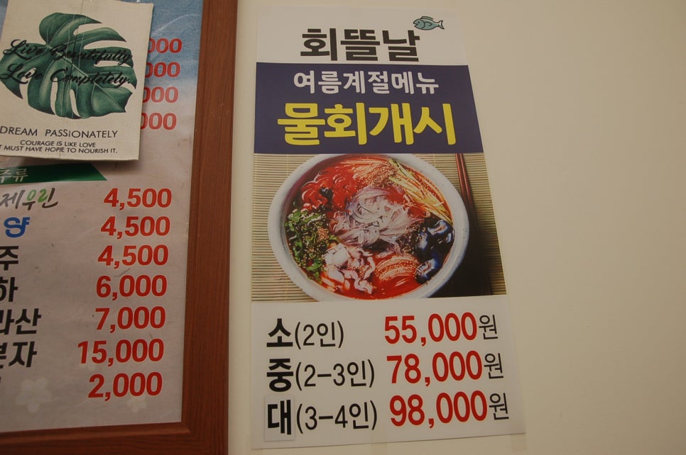 회뜰날 사진 5