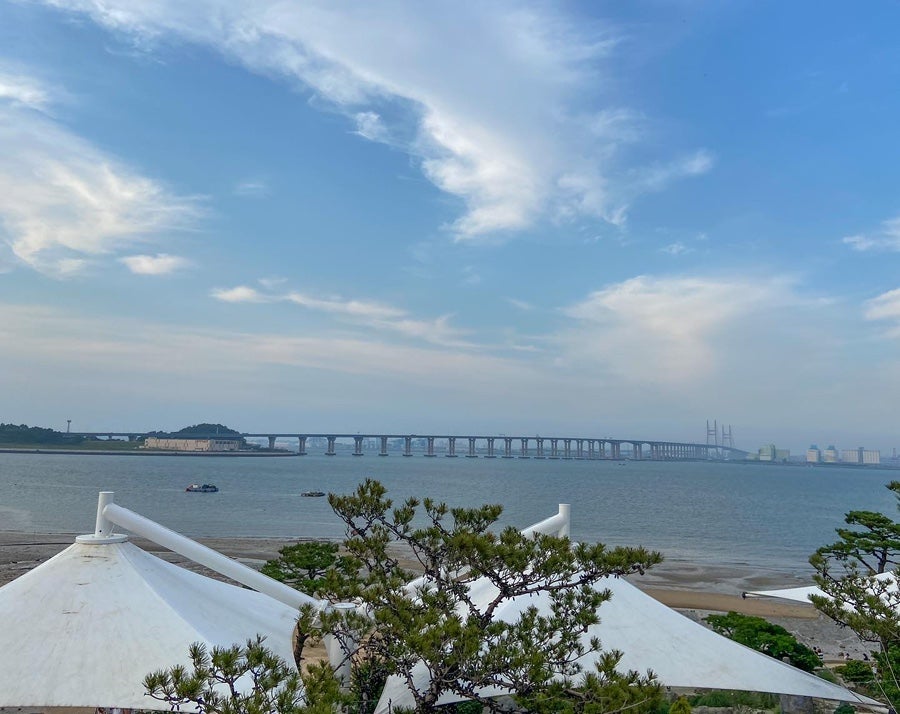 면천서문콩국수 사진 4