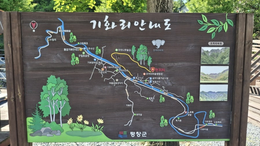 코끼리마을캠핑장 사진 3