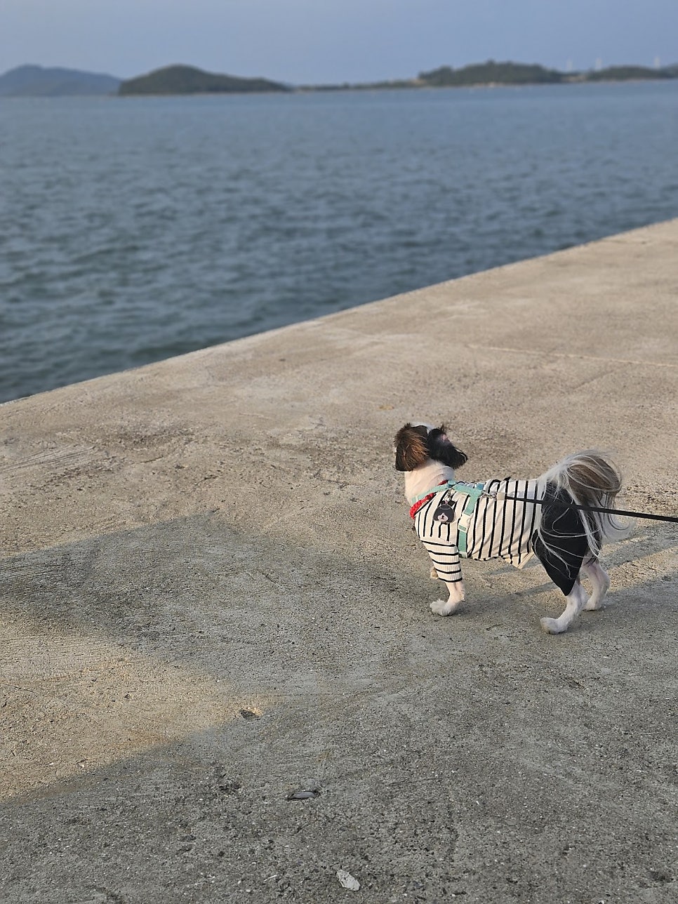 대기점민박 사진 3