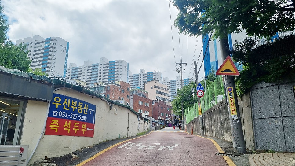 촌칼국수 사진 3