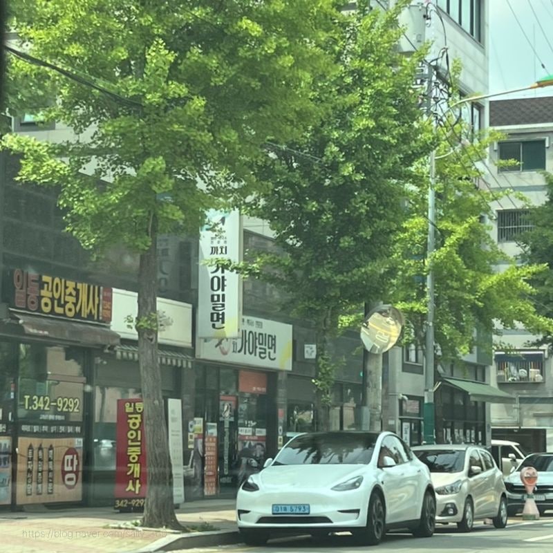 까치가야밀면 사진 3